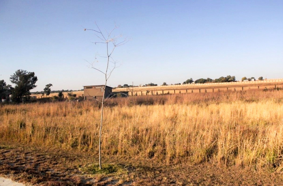 0 Bedroom Property for Sale in Knoppieslaagte Gauteng
