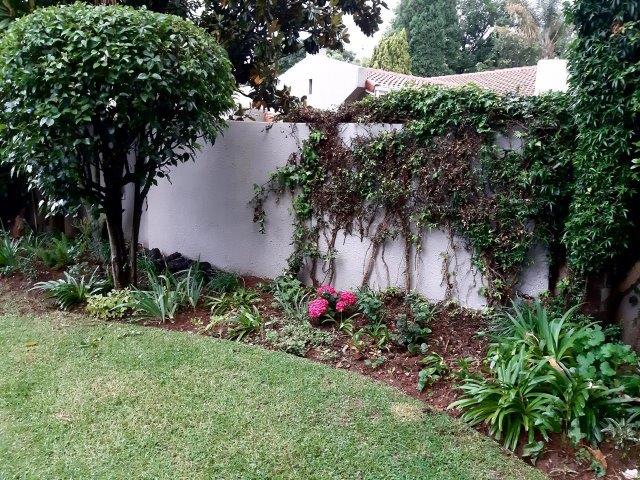 To Let 3 Bedroom Property for Rent in Bruma Gauteng