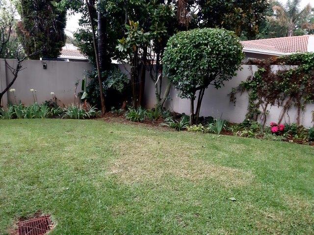 To Let 3 Bedroom Property for Rent in Bruma Gauteng