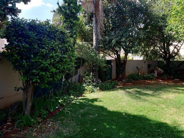 To Let 3 Bedroom Property for Rent in Bruma Gauteng