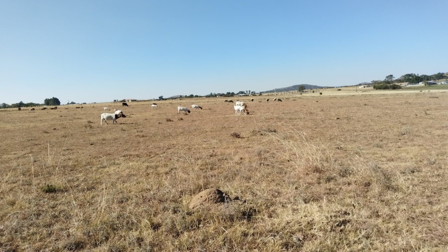 0 Bedroom Property for Sale in Nelsonia Gauteng