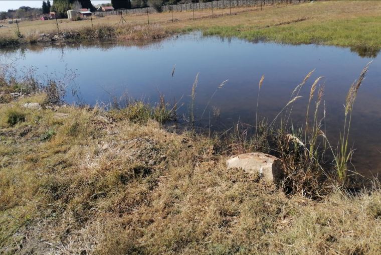 3 Bedroom Property for Sale in Blue Saddle Ranches Gauteng