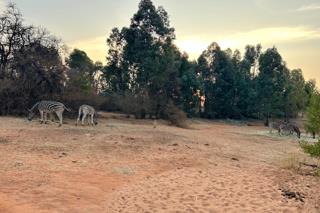 0 Bedroom Property for Sale in Montana Park Gauteng