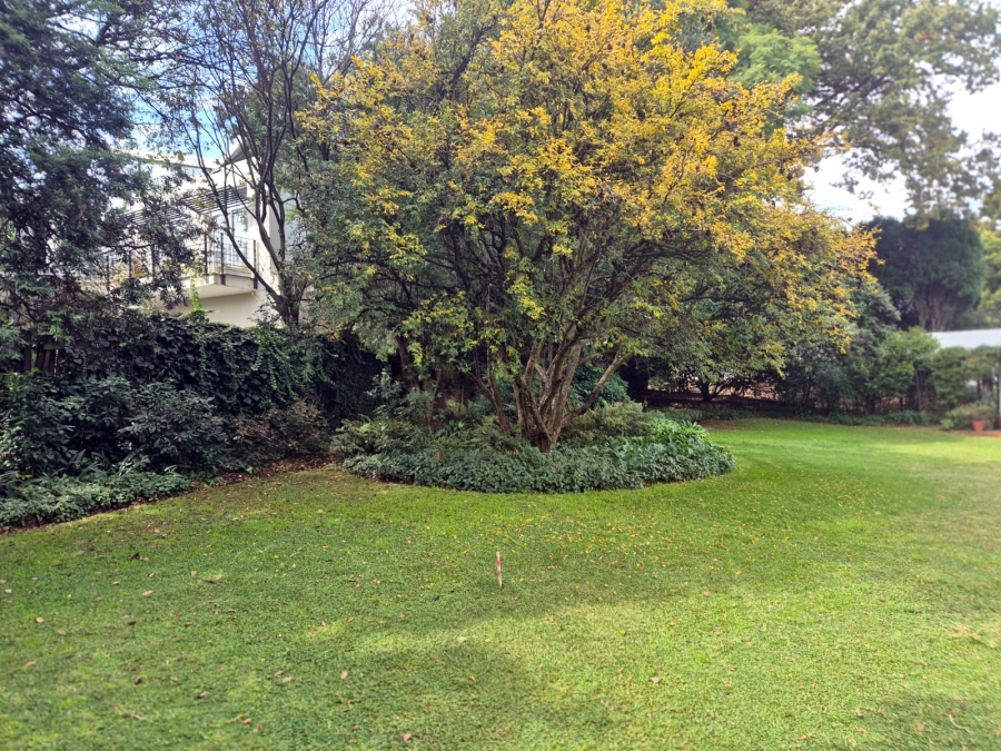 0 Bedroom Property for Sale in Parktown North Gauteng
