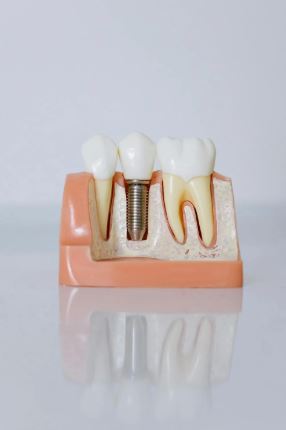 To Let commercial Property for Rent in Alphen Park Gauteng