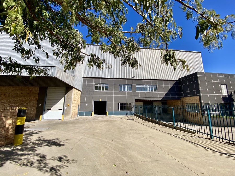 To Let commercial Property for Rent in Longmeadow Gauteng