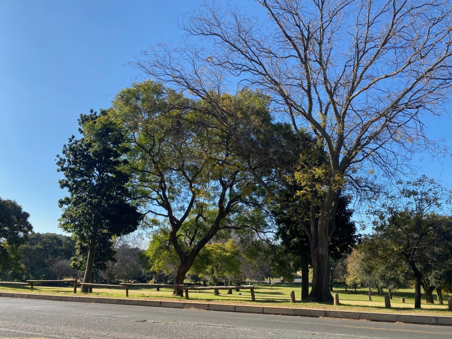 2 Bedroom Property for Sale in Parkview Gauteng