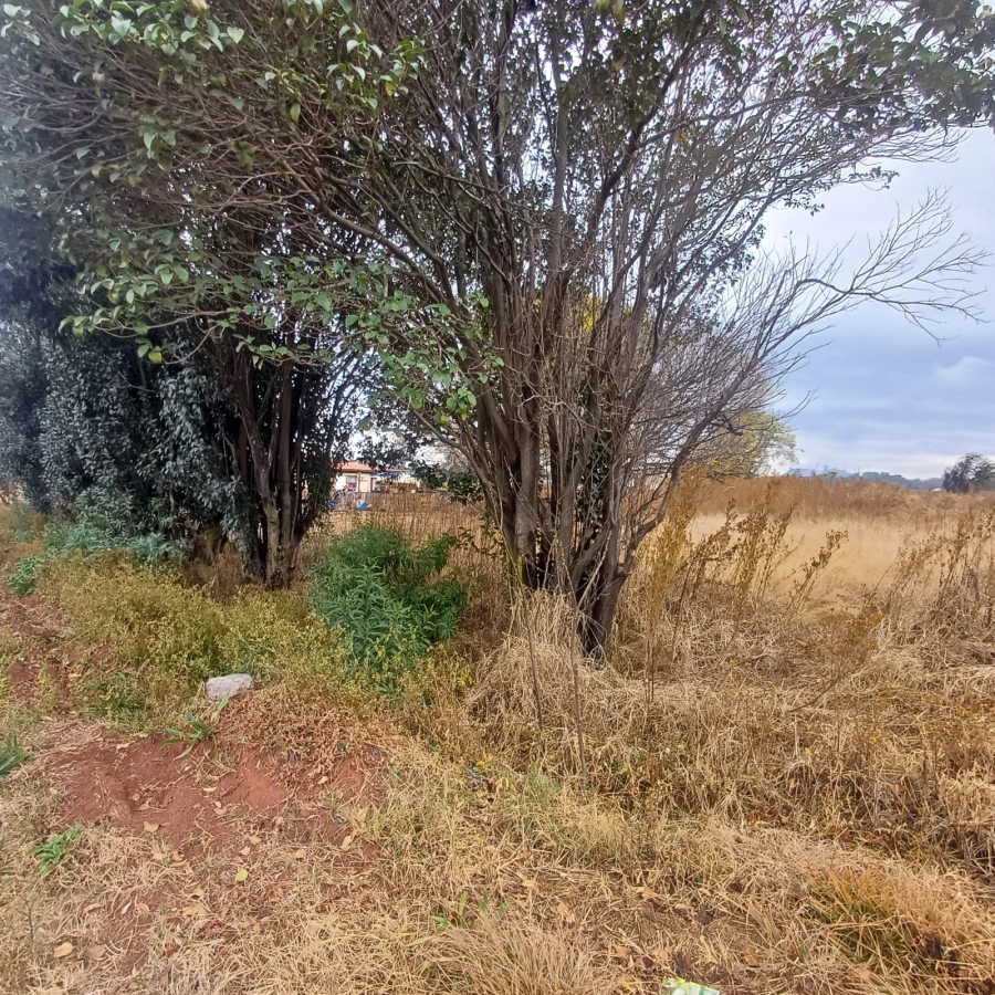0 Bedroom Property for Sale in Kookrus Gauteng