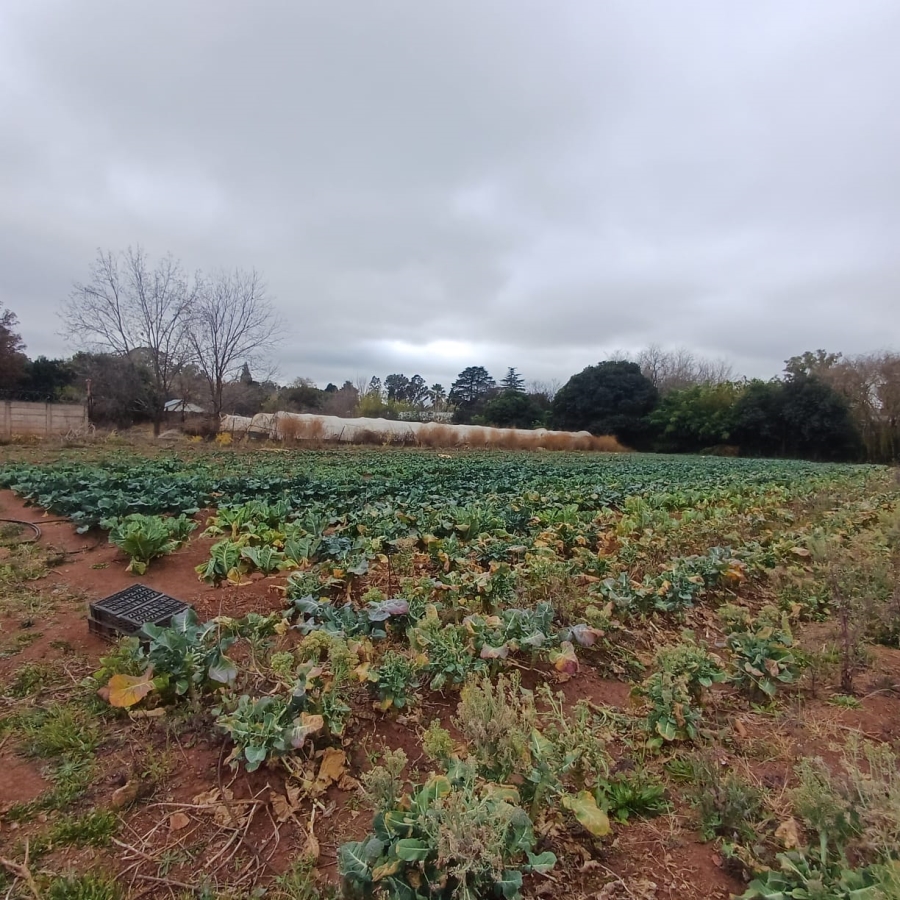 0 Bedroom Property for Sale in Henley on Klip Gauteng