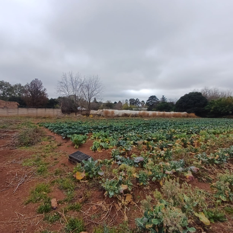 0 Bedroom Property for Sale in Henley on Klip Gauteng