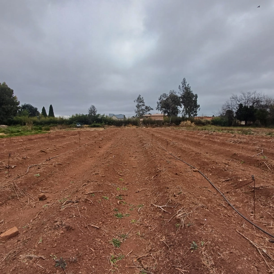0 Bedroom Property for Sale in Henley on Klip Gauteng