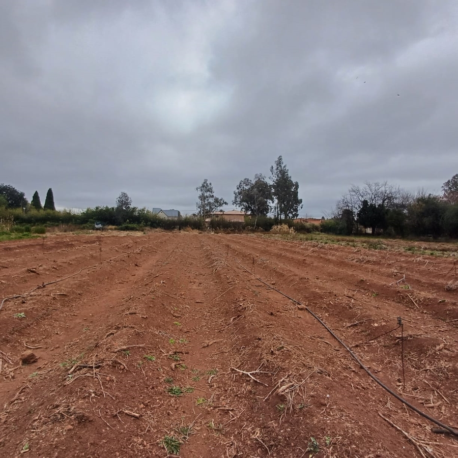 0 Bedroom Property for Sale in Henley on Klip Gauteng