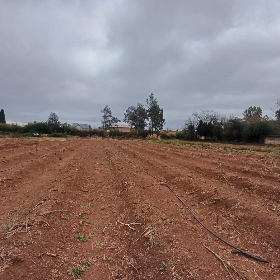 0 Bedroom Property for Sale in Henley on Klip Gauteng