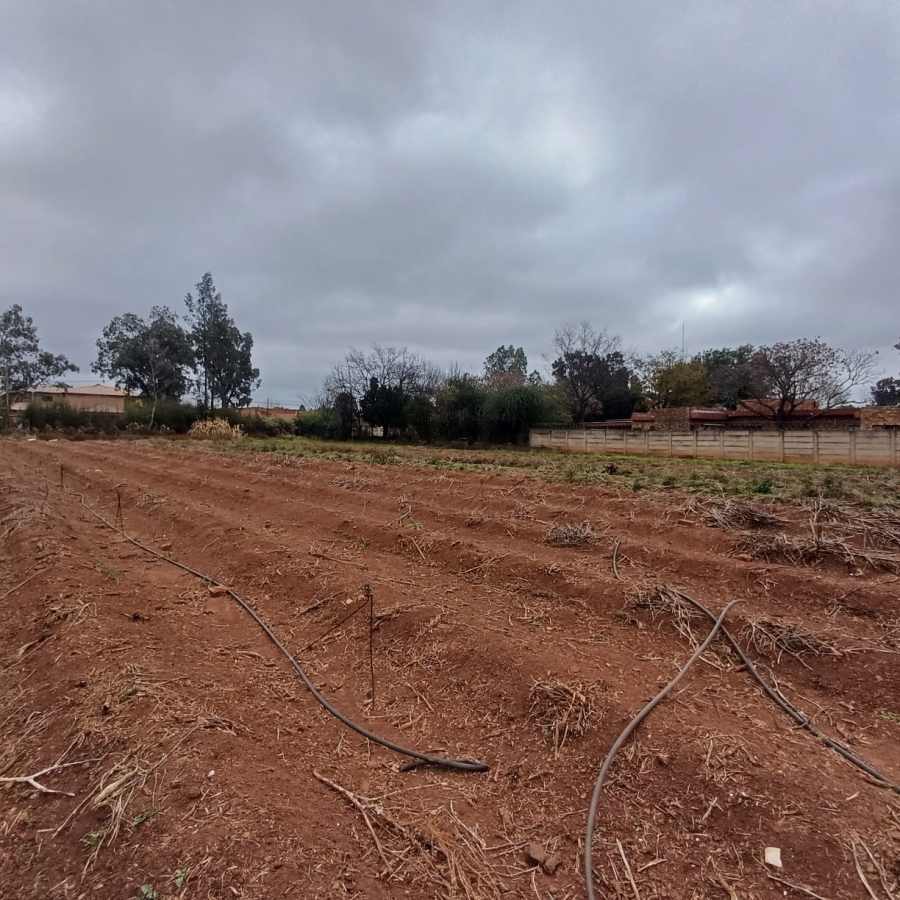 0 Bedroom Property for Sale in Henley on Klip Gauteng
