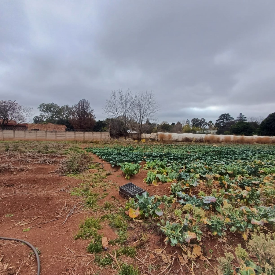 0 Bedroom Property for Sale in Henley on Klip Gauteng