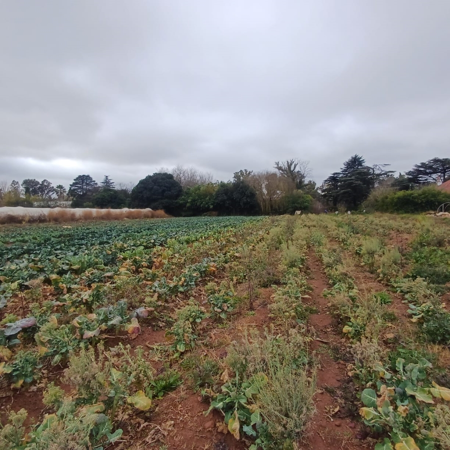 0 Bedroom Property for Sale in Henley on Klip Gauteng