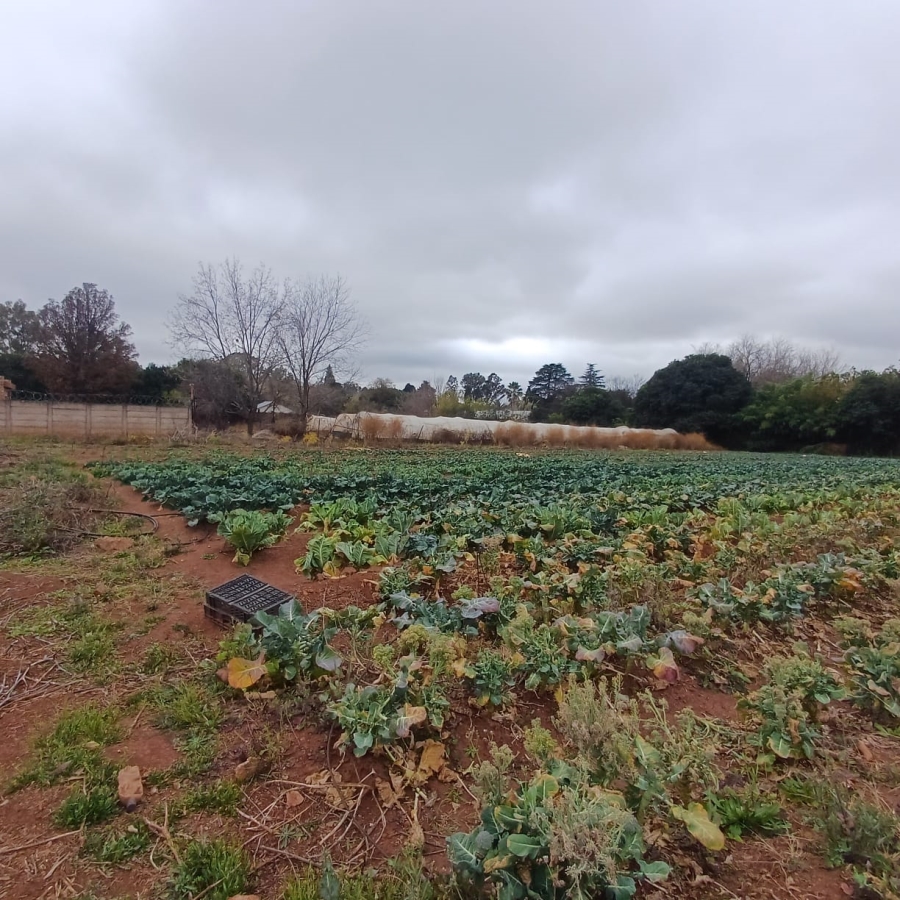 0 Bedroom Property for Sale in Henley on Klip Gauteng