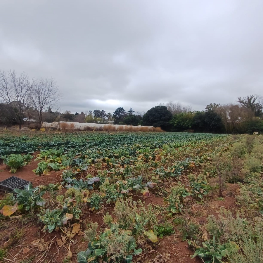 0 Bedroom Property for Sale in Henley on Klip Gauteng
