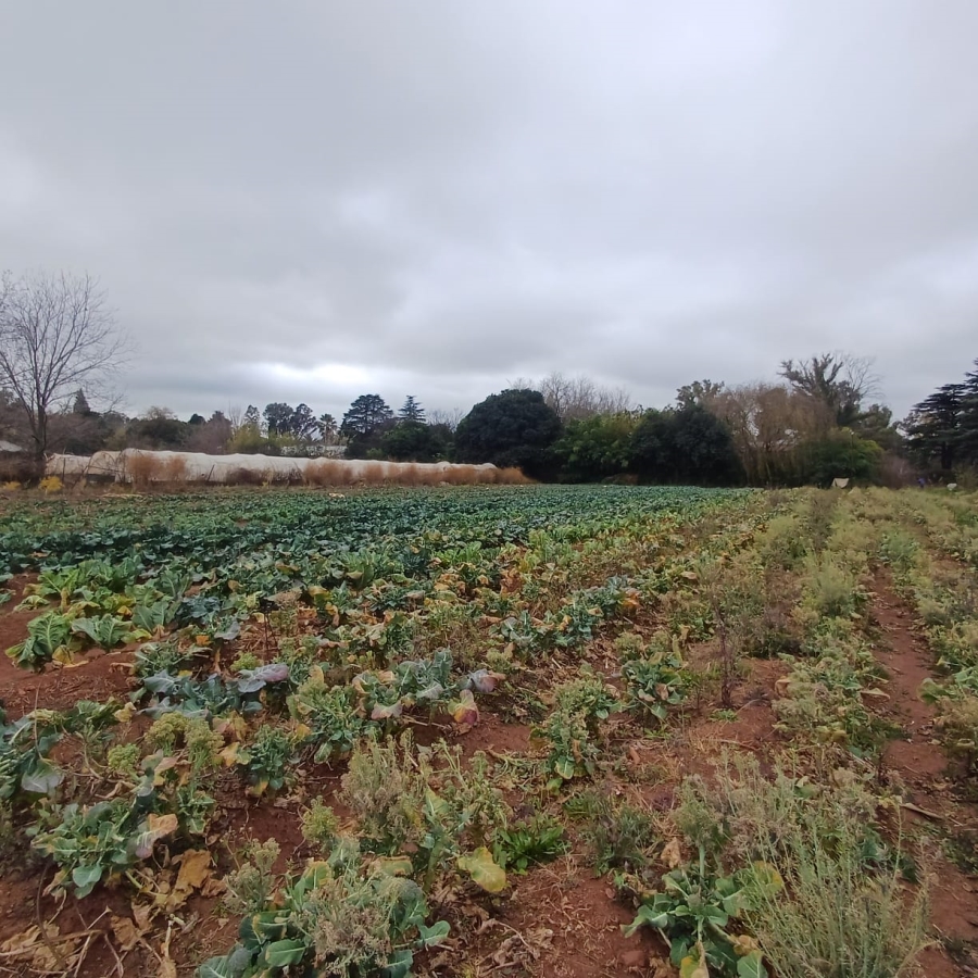 0 Bedroom Property for Sale in Henley on Klip Gauteng