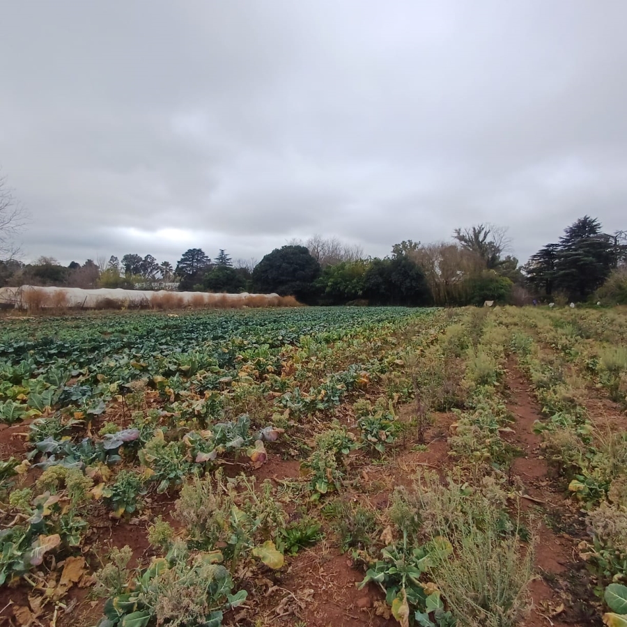 0 Bedroom Property for Sale in Henley on Klip Gauteng