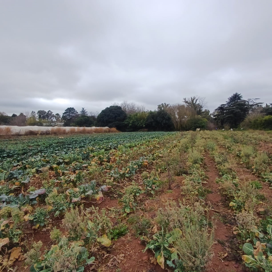 0 Bedroom Property for Sale in Henley on Klip Gauteng