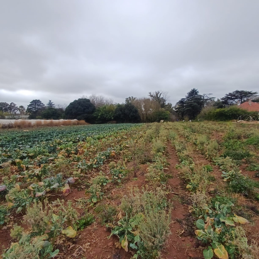 0 Bedroom Property for Sale in Henley on Klip Gauteng