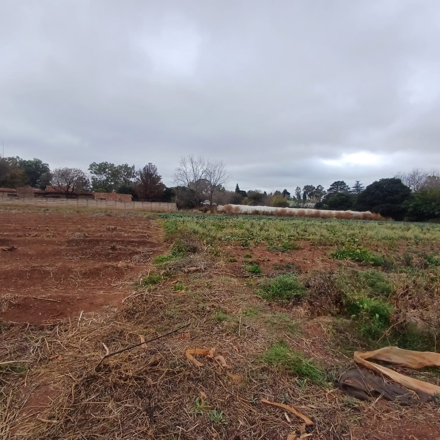 0 Bedroom Property for Sale in Henley on Klip Gauteng