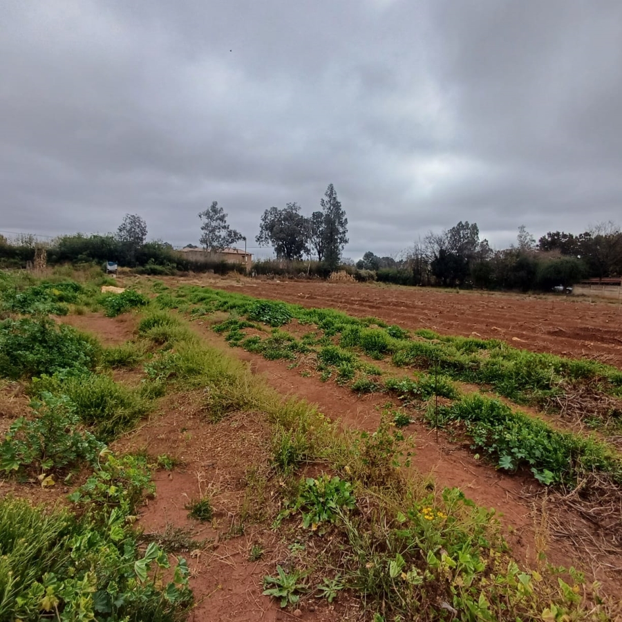 0 Bedroom Property for Sale in Henley on Klip Gauteng