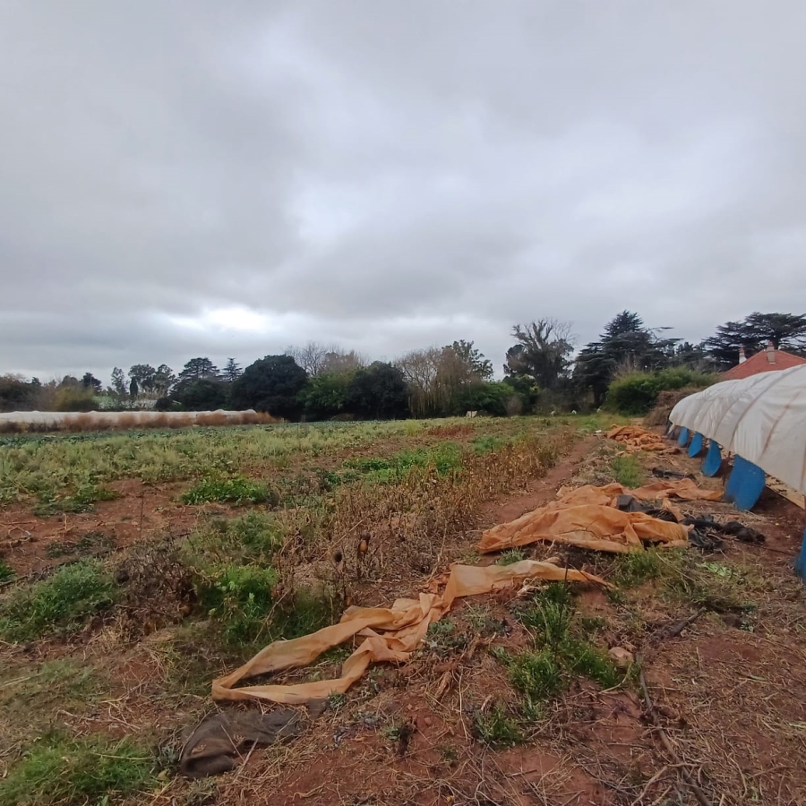 0 Bedroom Property for Sale in Henley on Klip Gauteng