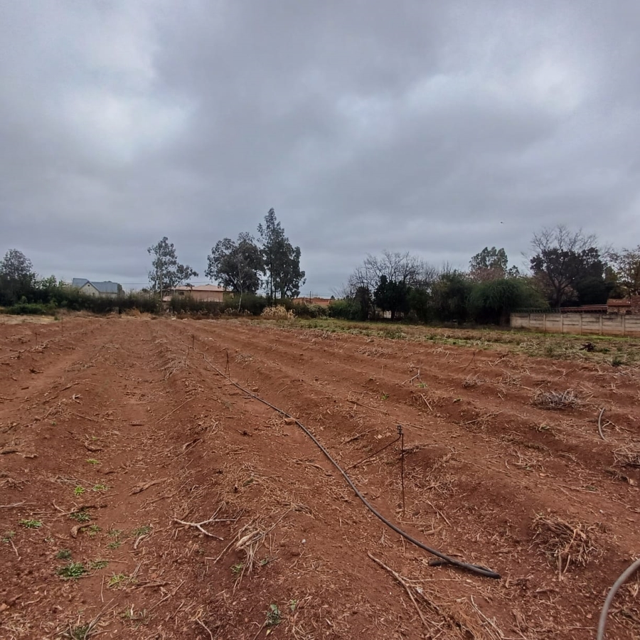 0 Bedroom Property for Sale in Henley on Klip Gauteng