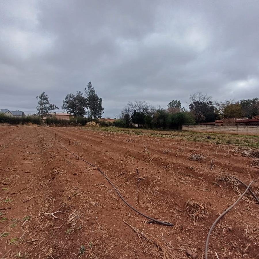 0 Bedroom Property for Sale in Henley on Klip Gauteng