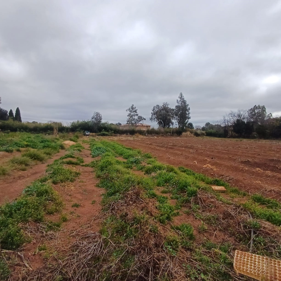 0 Bedroom Property for Sale in Henley on Klip Gauteng