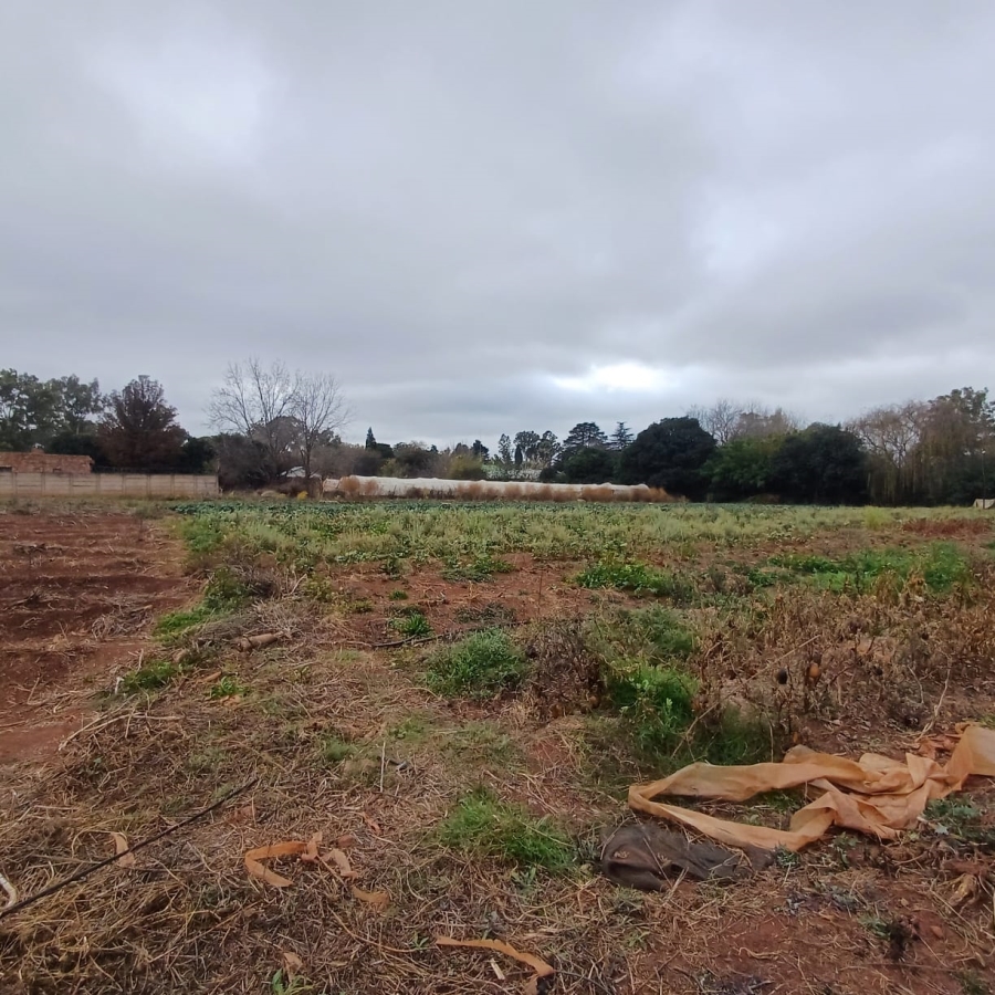 0 Bedroom Property for Sale in Henley on Klip Gauteng