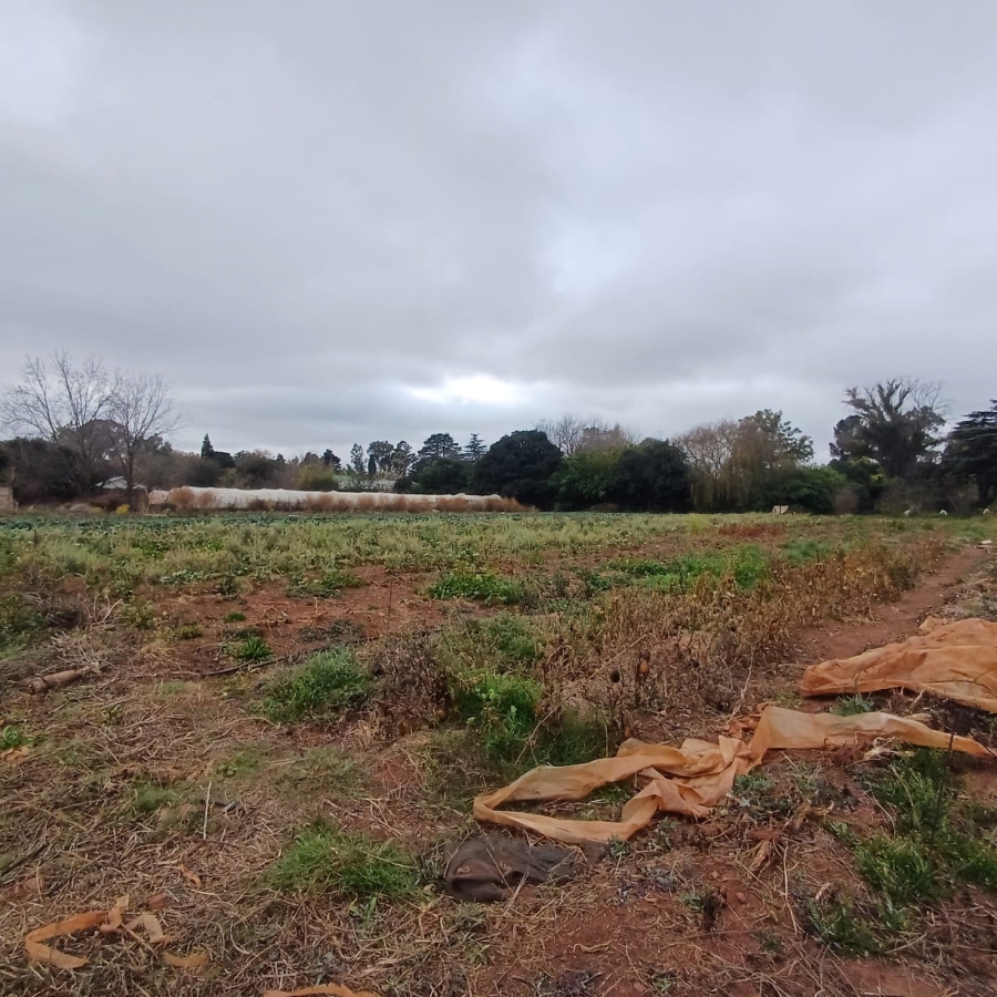 0 Bedroom Property for Sale in Henley on Klip Gauteng