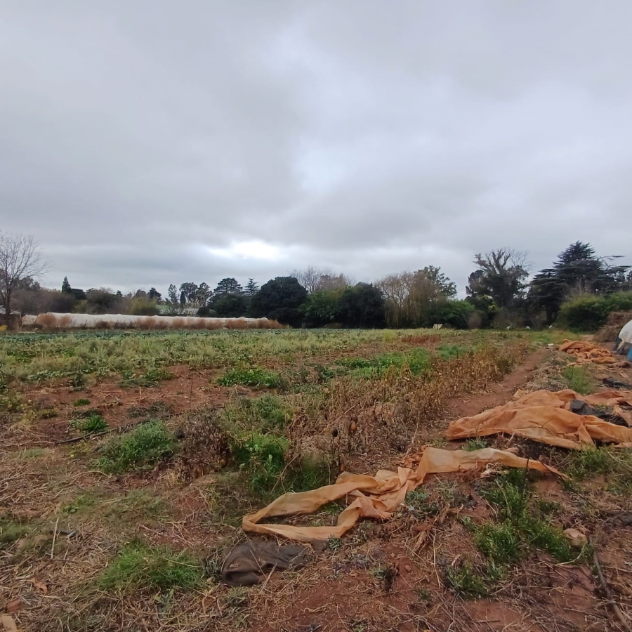 0 Bedroom Property for Sale in Henley on Klip Gauteng