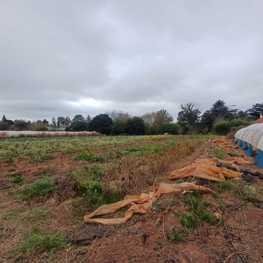 0 Bedroom Property for Sale in Henley on Klip Gauteng