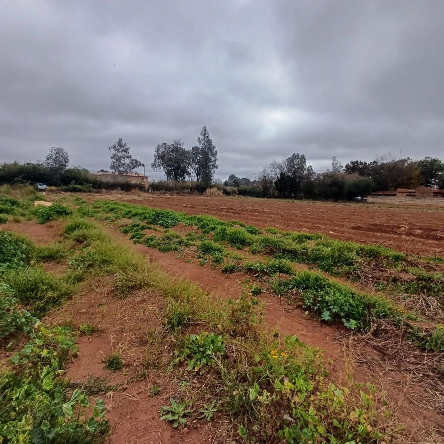 0 Bedroom Property for Sale in Henley on Klip Gauteng