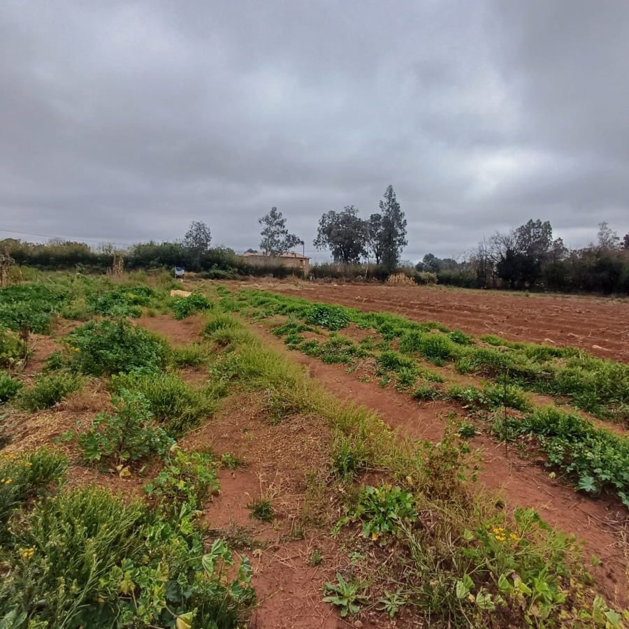 0 Bedroom Property for Sale in Henley on Klip Gauteng