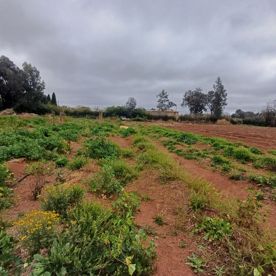 0 Bedroom Property for Sale in Henley on Klip Gauteng