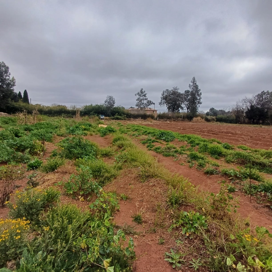 0 Bedroom Property for Sale in Henley on Klip Gauteng
