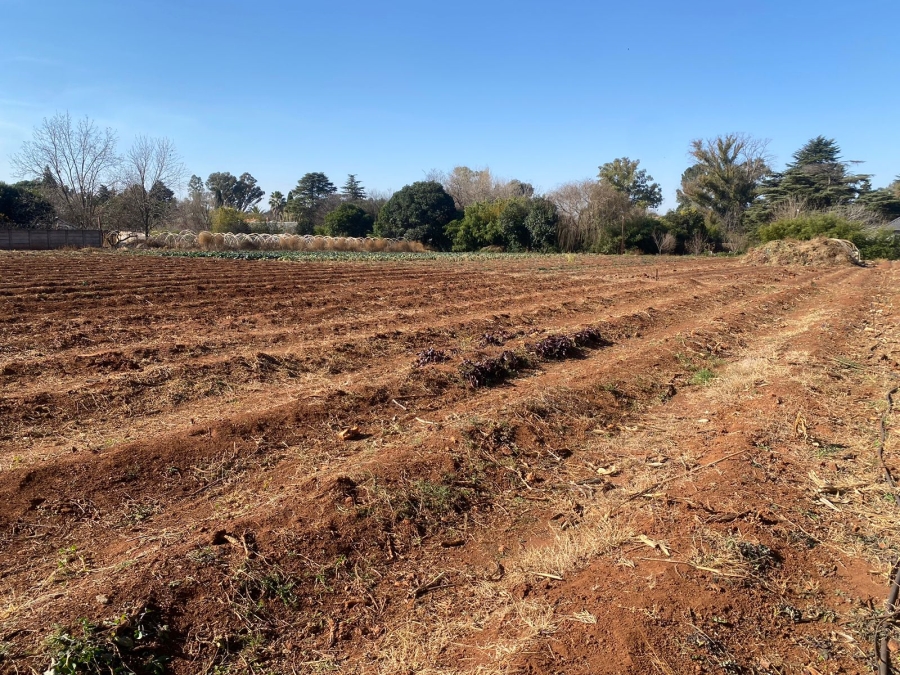 0 Bedroom Property for Sale in Henley on Klip Gauteng
