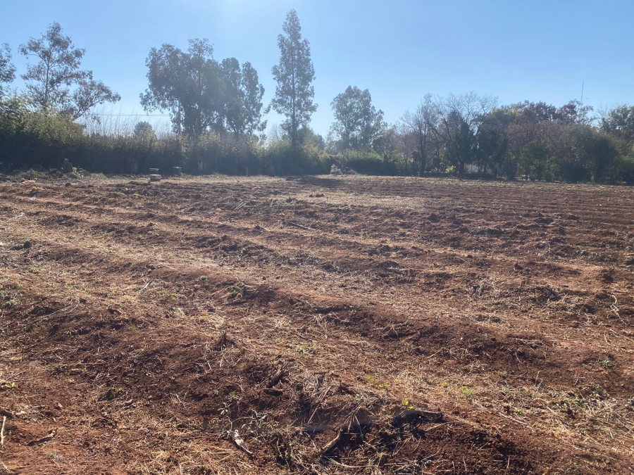 0 Bedroom Property for Sale in Henley on Klip Gauteng