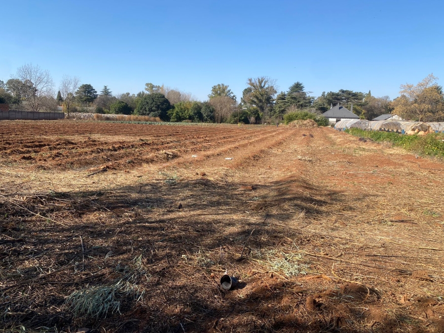 0 Bedroom Property for Sale in Henley on Klip Gauteng