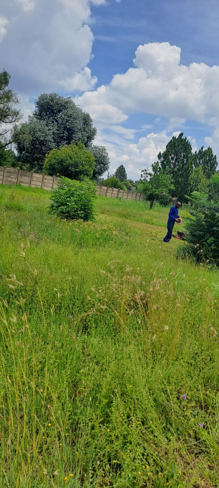 Commercial Property for Sale in Henley on Klip Gauteng