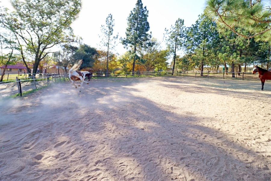 3 Bedroom Property for Sale in Kyalami Ah Gauteng