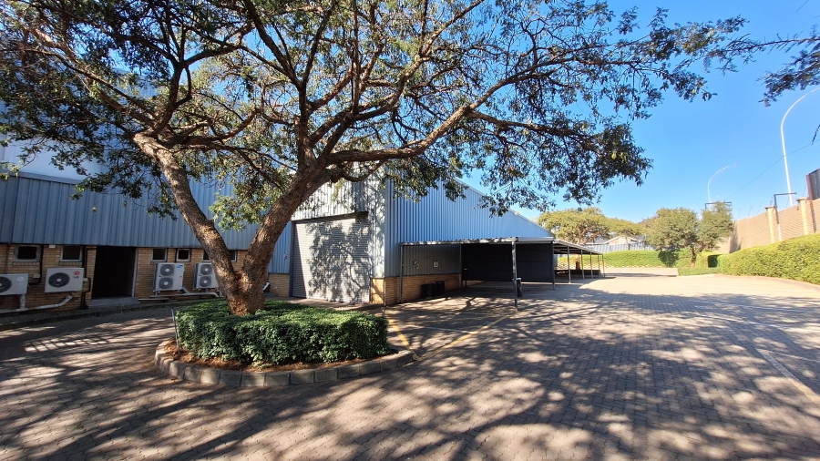 To Let commercial Property for Rent in Florida Glen Gauteng