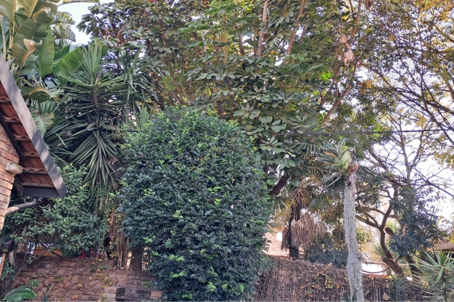 3 Bedroom Property for Sale in Montana Park Gauteng
