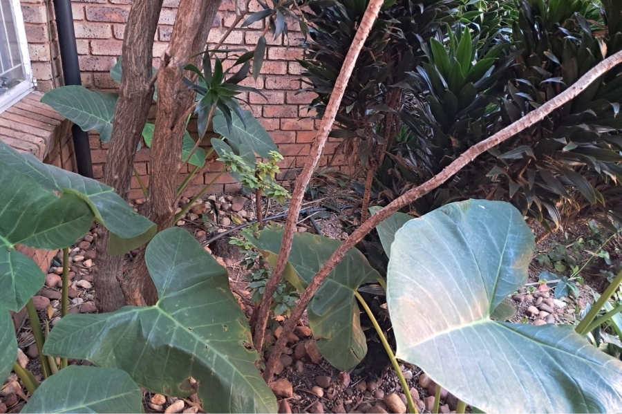 3 Bedroom Property for Sale in Montana Park Gauteng