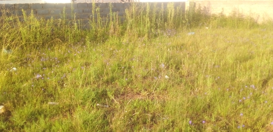 0 Bedroom Property for Sale in Unitas Park Gauteng
