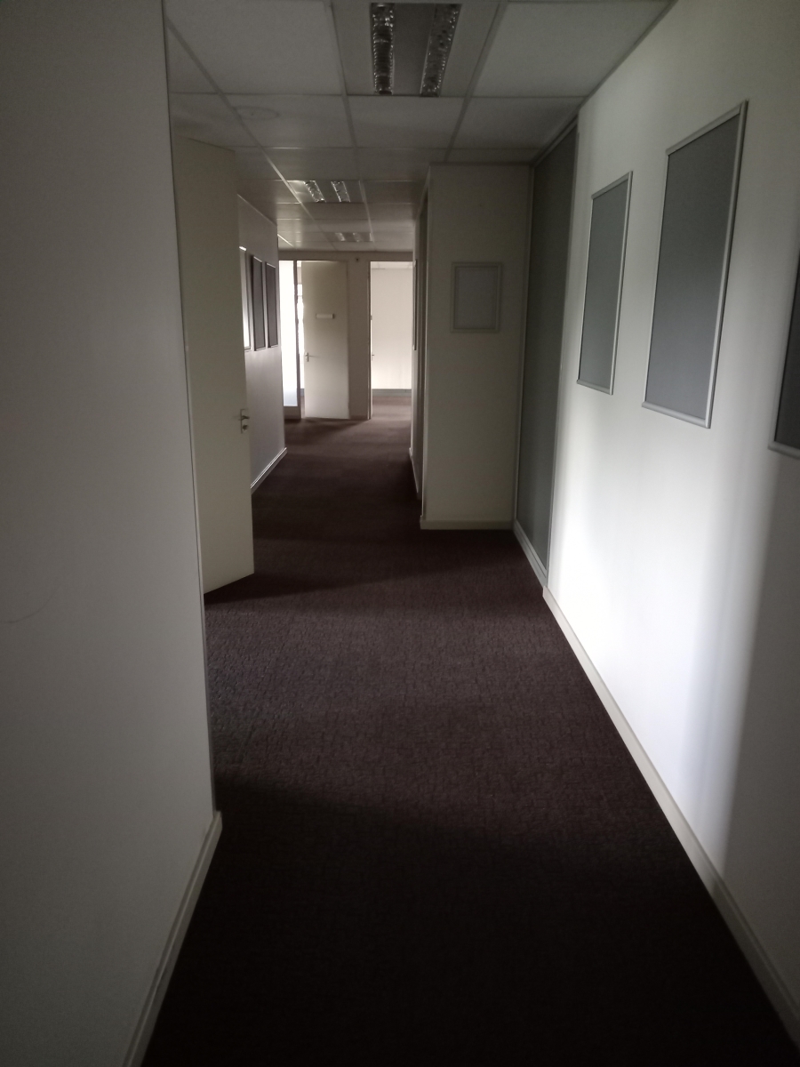 To Let commercial Property for Rent in Hatfield Gauteng
